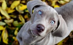 Прогноз погоды в Украине