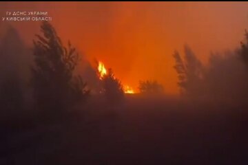 Пожар в лесу под Чернобылем