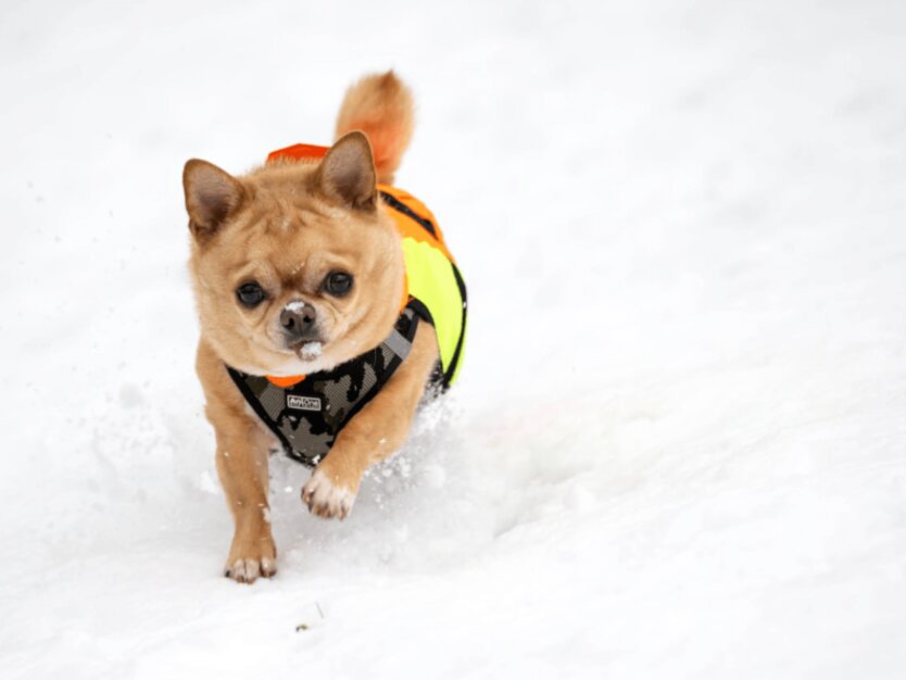 Прогноз погоды в Украине / Фото Getty Images