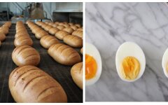 Украинцам показали, как изменились цены на хлеб и яйца в августе