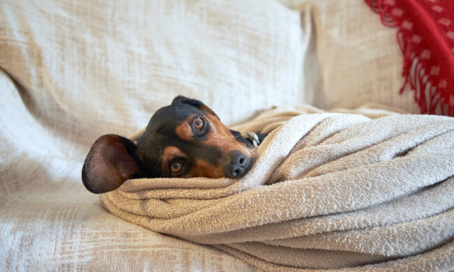 Прогноз погоди в Україні