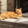 Прогноз погоди в Україні / Фото: 24 канал