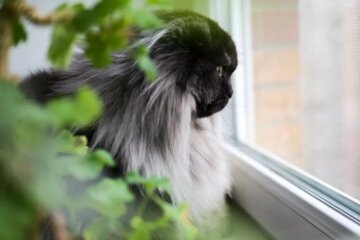 Прогноз погоди в Україні / Фото: Наталка Діденко