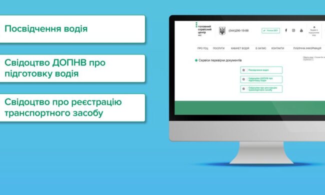У МВС пояснили, як можна перевірити посвідчення водія та документи на авто в Україні та за кордоном