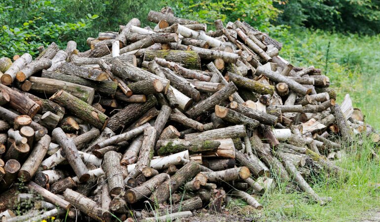 Цены на дрова в Украине / Фото Getty Images