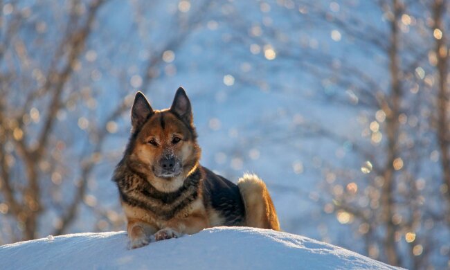 Прогноз погоди в Україні
