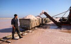 Залив Сиваш