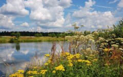 Прогноз погоды