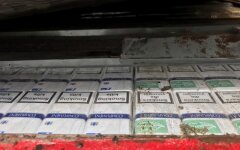 сигареты контрабас