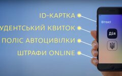 Электронные документы в приложении "Дия".