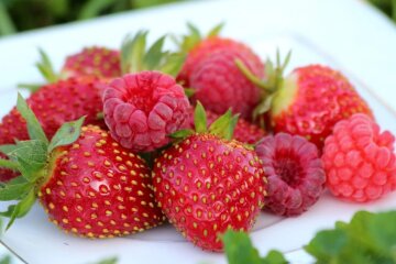 Импорт малины и клубники / Фото: east-fruit.com