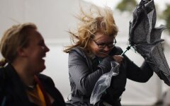 Сильный ветер в Киеве / Фото: Getty Images