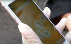 OLX назвала главный тренд покупок украинцев во время локдауна