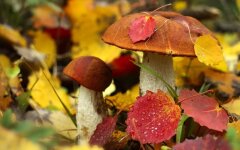 Прогноз погоды в Украине / Фото: bc-like.com
