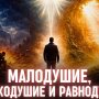 Малодушие, великодушие и равнодушие
