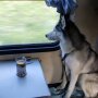 Перевезення собак у поїздах