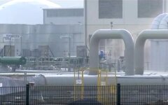 газопровод OPAL