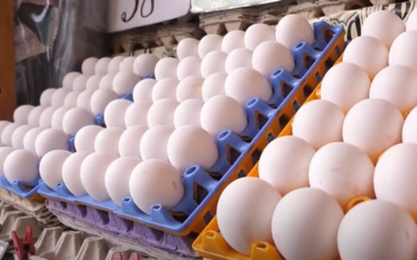 Цены на яйца, прогноз цен