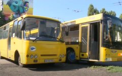 Автобусы
