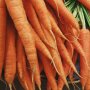 Ціни на моркву