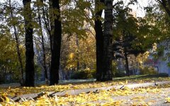 Погода в Украине