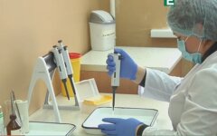 Пандемия коронавируса, антитела, карнатин в Украине