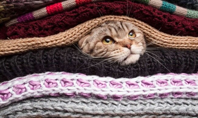 Прогноз погоды в Украине