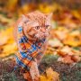 Прогноз погоди в Україні / Фото: Unsplash