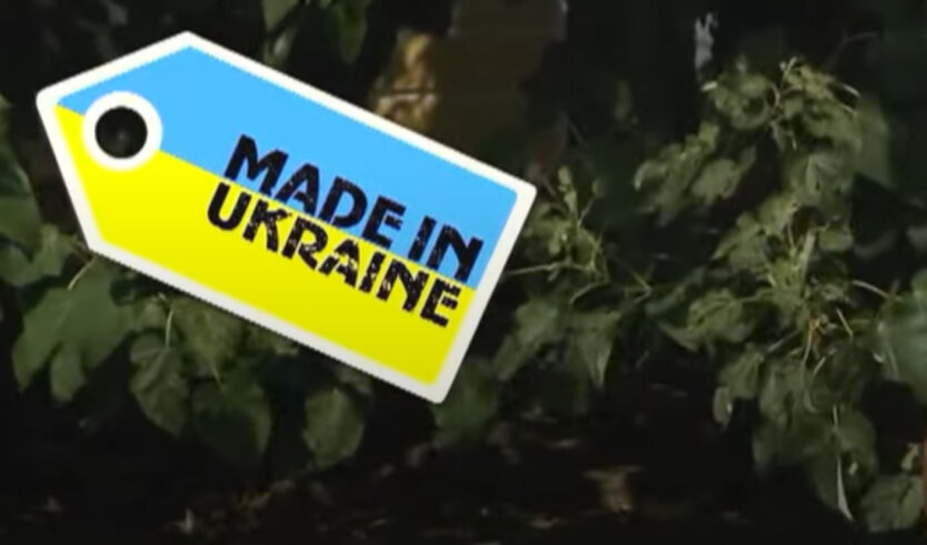 ПриватБанк показал, как подключить "Национальный кешбек" в Дія