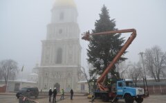 елка на софиевской площади