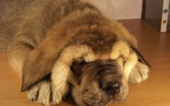 Прогноз погоды в Украине