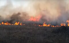 Пожар в Чернобыльской зоне