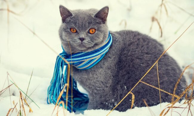 Прогноз погоды в Украине