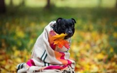 Прогноз погоды в Украине / Фото: 24tv.ua.