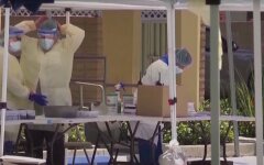 ВОЗ призвала страны «проснуться» и остановить коронавирус