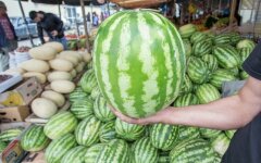 Цены на арбузы в Украине