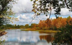 Прогноз погоды в Украине / Фото: Pixabay