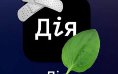 Дія. Фото з відкритих джерел