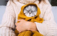 Погода в Україні