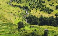 Сегодня в Грузии произошло землетрясение