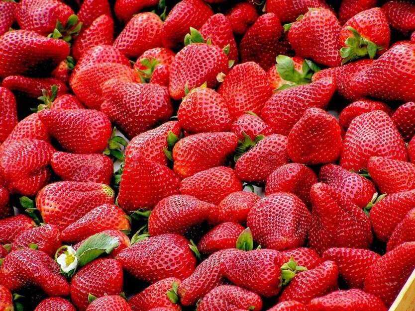 Стоит ли ожидать космических цен на ягоду