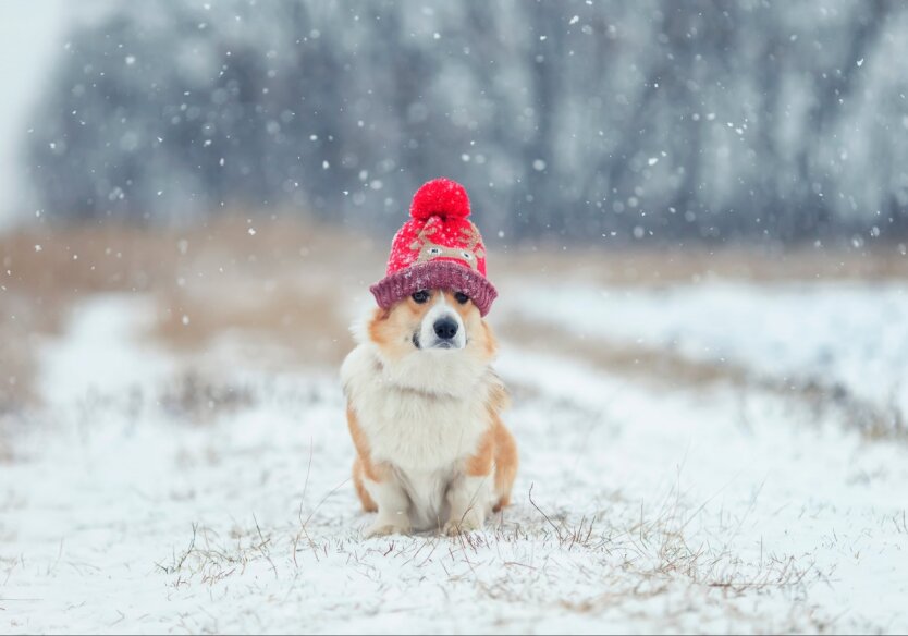 Прогноз погоди в Україні