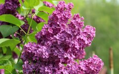 Прогноз погоди в Україні / Фото: Pixabay