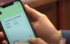 1000 за вакцинацию, Денис Шмыгаль, поддержка бизнеса