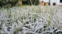 Прогноз погоди в Україні / Фото: Getty Images