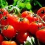Цены на помидоры в Украине / Фото: pixabay