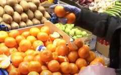 Ціни на мандарини