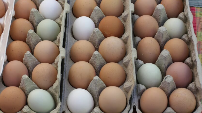 Цены на яйца в Украине / Фото: Unsplash