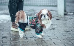 Прогноз погоды