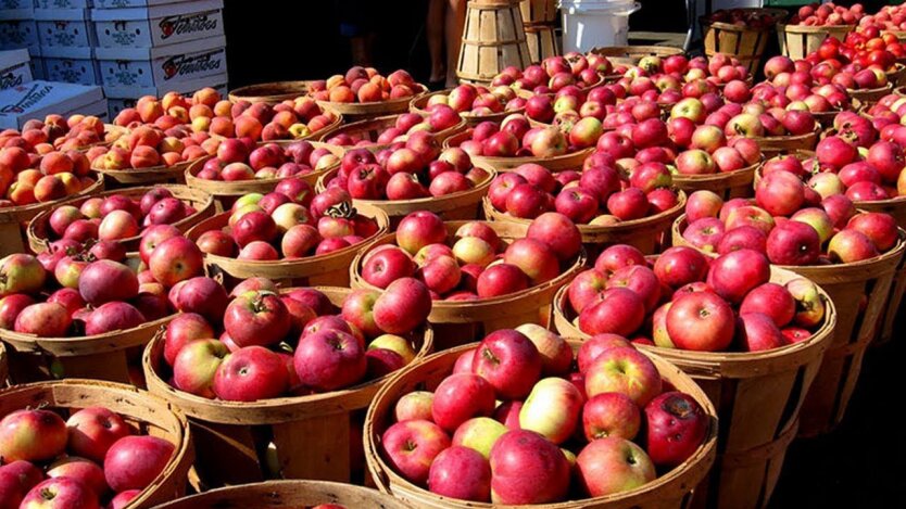 Цены на яблоки в Украине